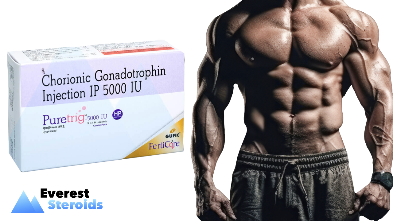 Buy Gonadotropin for bodybuilding - Everesteroids.com