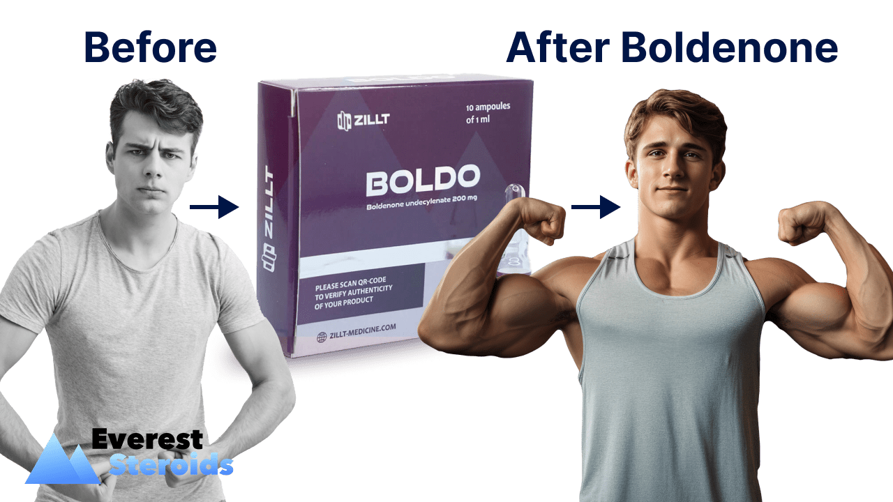 Boldenone before and after