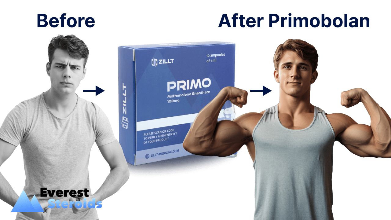 Primobolan before and after