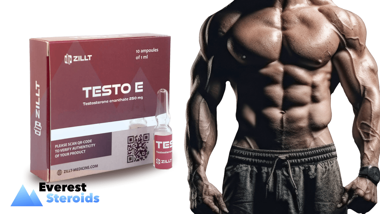 Buy Testosterone Enanthate steroid - Everesteroids.com