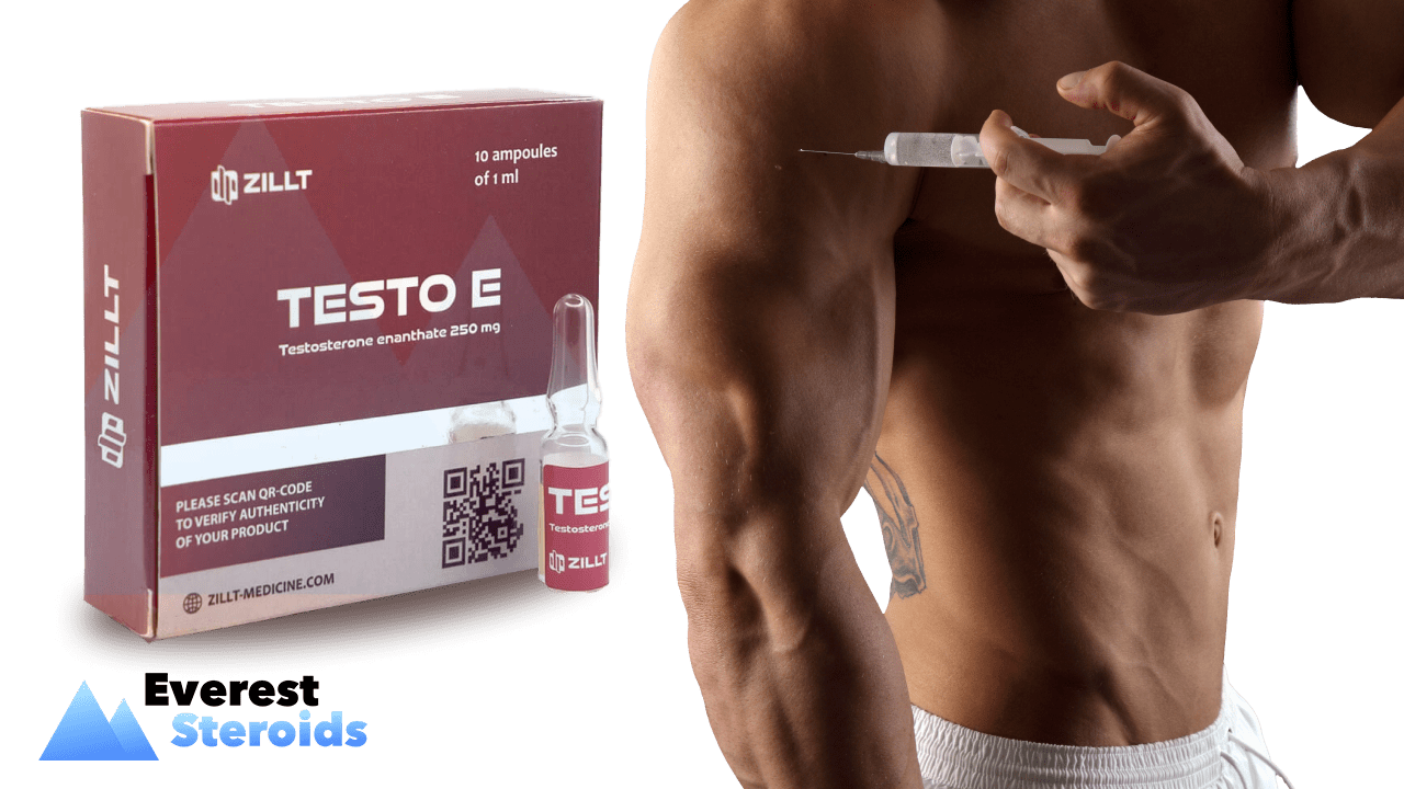 Testosterone enanthate cycle
