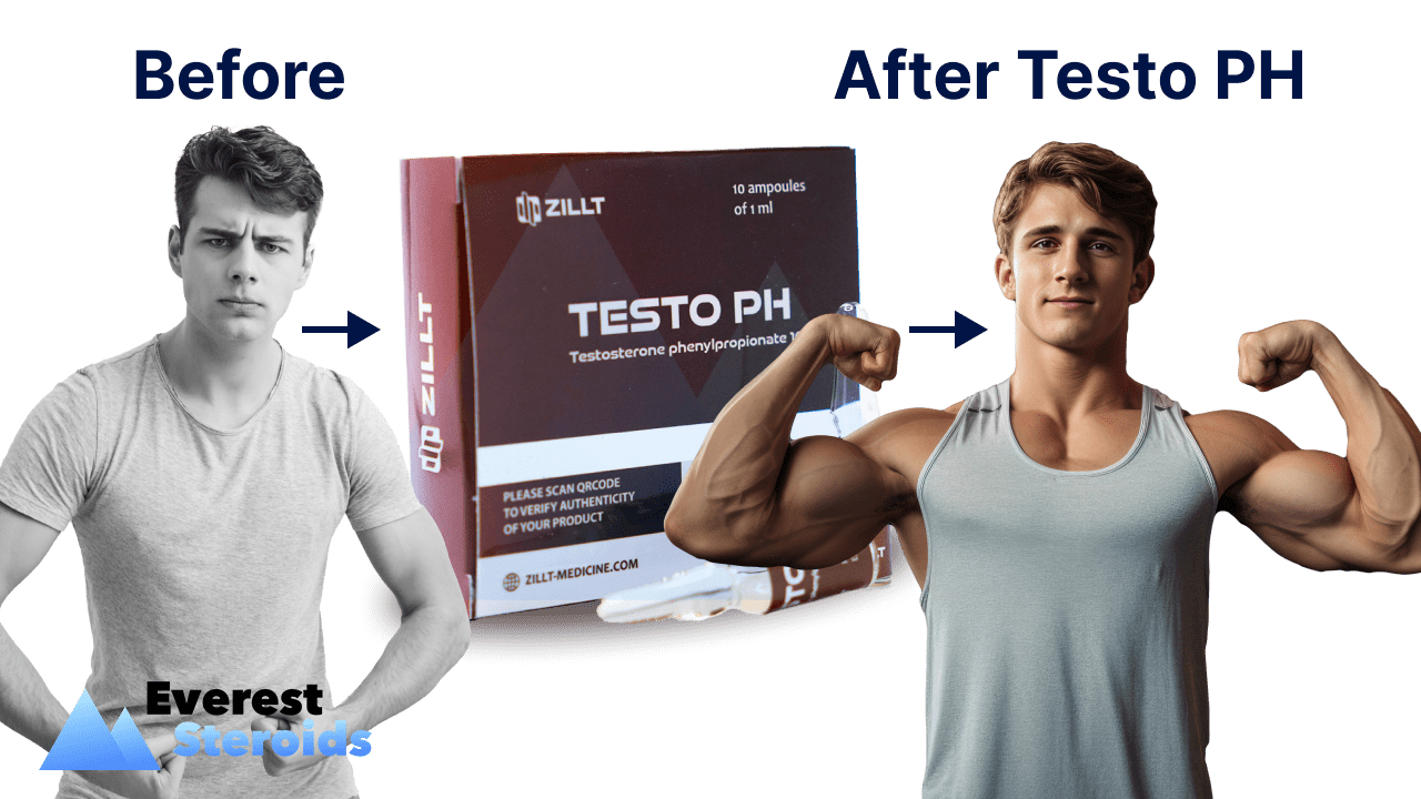Testosterone Phenylpropionate Before and After