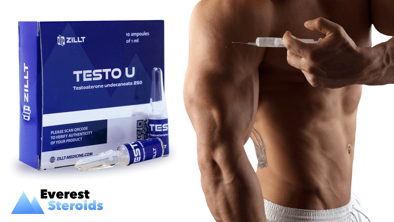 Testosterone Undecanoate Dosage and Cycle