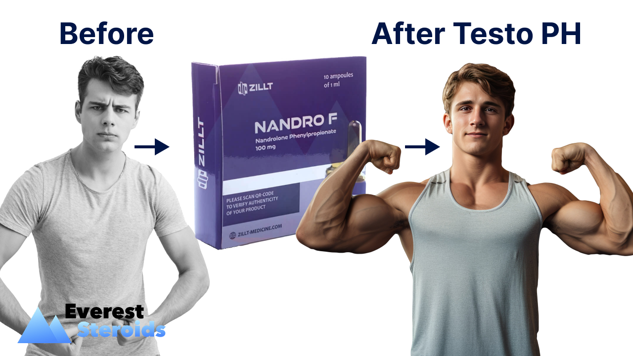 Nandrolone Phenylpropionate  before and after