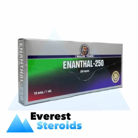 Testosterone Enanthate Malay Tiger Enanthal-250 (250 mg/ml - 1 ampoule)