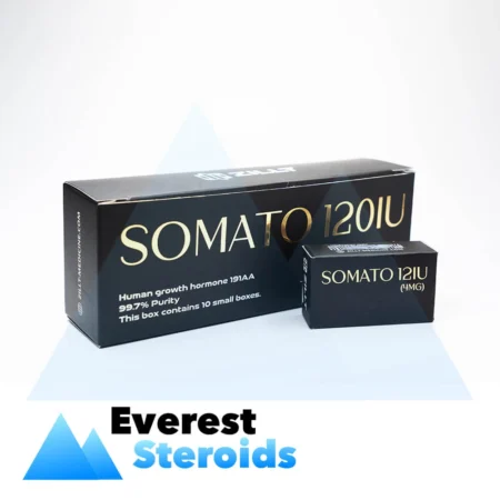 Growth Hormone Zillt Medicine Somato (120 IU - 10 vials)