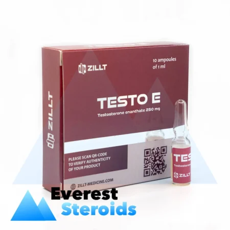 Testosterone Enanthate Zillt Medicine Testo E (250 mg/ml - 1 ampoule)