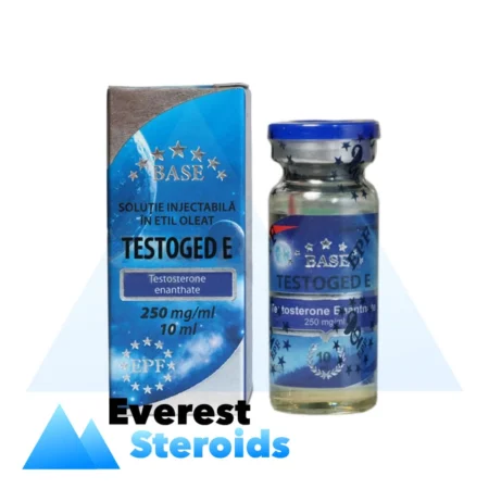 Testosterone Enanthate EPF Testoged E (250 mg/ml - 1 vial)