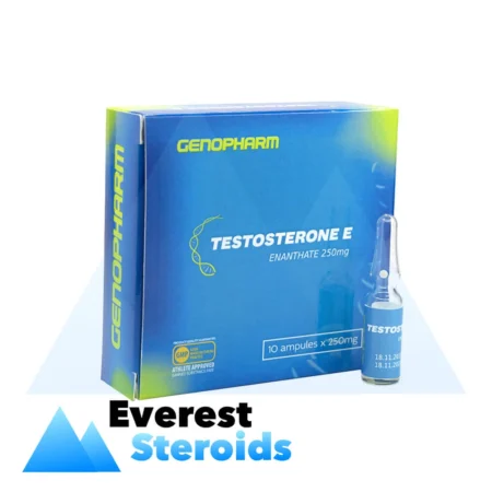 Testosterone Enanthate Genopharm (250 mg/ml - 1 ampoule)